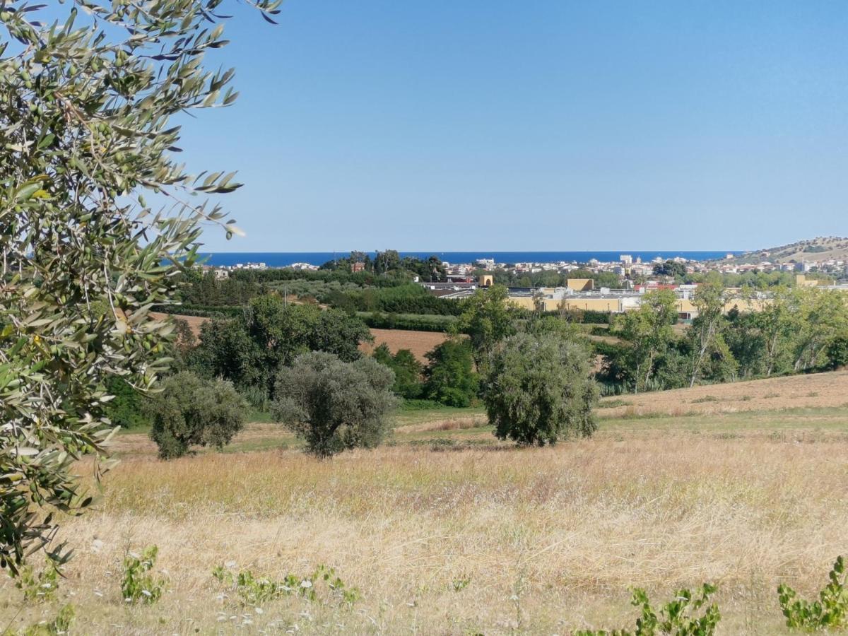 Residence Il Villaggio Del Re Corropoli Exteriör bild